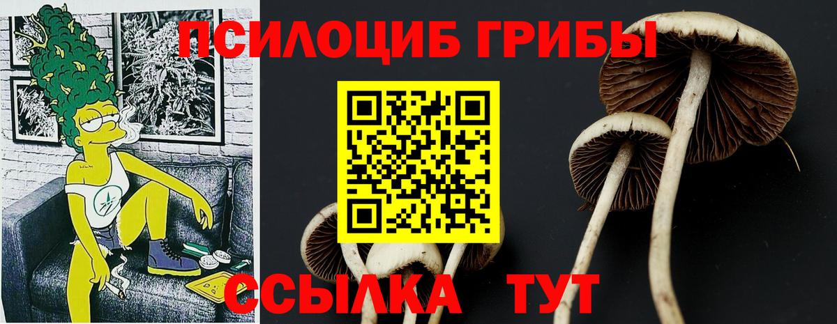 Псилоцибиновые грибы Psilocybine cubensis  Вход с VPN  Всеволожск 